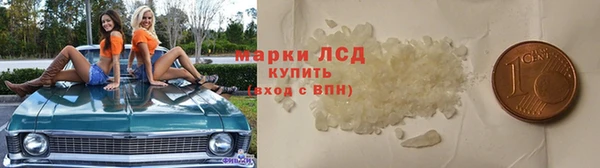 спиды Тавда