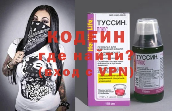 эйфоретик Тайга