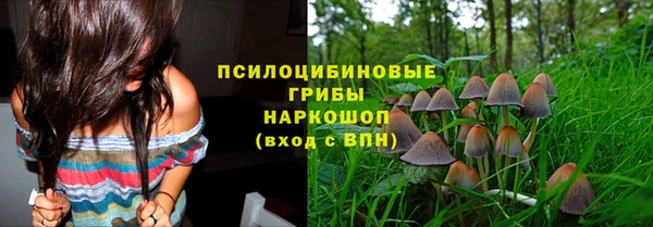 эйфоретик Тайга