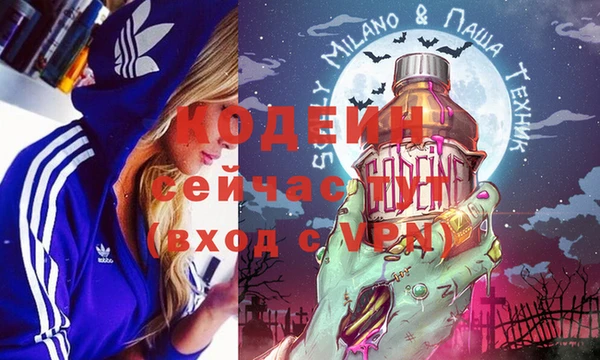 спиды Тавда