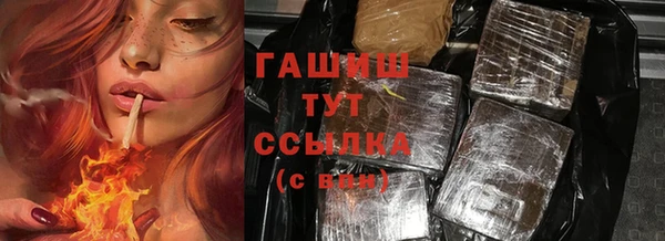 эйфоретик Тайга