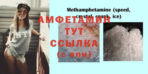 эйфоретик Тайга