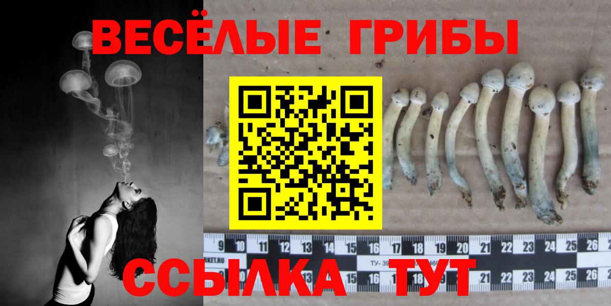 Галлюциногенные грибы GOLDEN TEACHER Белорецк